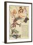 Catalogue Page of Toys, Swing, Trike-null-Framed Art Print