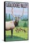 Cataloochee Valley, North Carolina - Elk Herd-Lantern Press-Framed Stretched Canvas