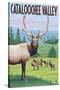 Cataloochee Valley, North Carolina - Elk Herd-Lantern Press-Stretched Canvas