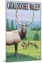 Cataloochee Valley, North Carolina - Elk Herd-Lantern Press-Mounted Art Print