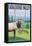 Cataloochee Valley, North Carolina - Elk Herd-Lantern Press-Framed Stretched Canvas