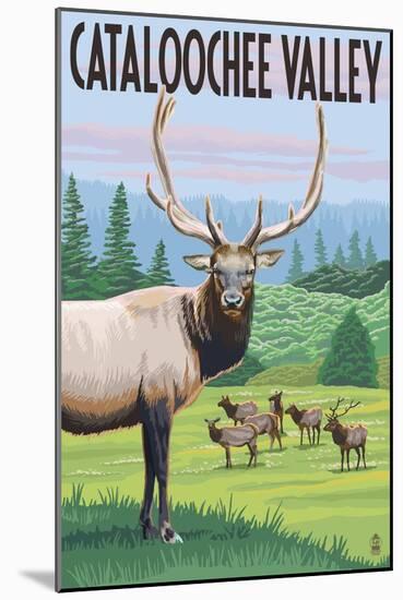 Cataloochee Valley, North Carolina - Elk Herd-Lantern Press-Mounted Art Print