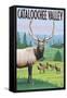 Cataloochee Valley, North Carolina - Elk Herd-Lantern Press-Framed Stretched Canvas