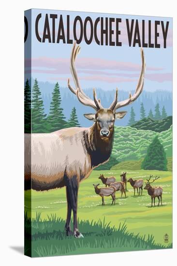Cataloochee Valley, North Carolina - Elk Herd-Lantern Press-Stretched Canvas