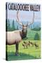 Cataloochee Valley, North Carolina - Elk Herd-Lantern Press-Stretched Canvas