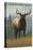 Cataloochee Valley, North Carolina - Elk Scene-Lantern Press-Stretched Canvas