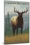 Cataloochee Valley, North Carolina - Elk Scene-Lantern Press-Mounted Art Print