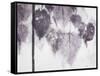 Catalpa-Cynthia MacCollum-Framed Stretched Canvas