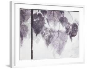 Catalpa-Cynthia MacCollum-Framed Art Print