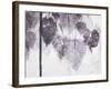 Catalpa-Cynthia MacCollum-Framed Art Print