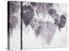 Catalpa-Cynthia MacCollum-Stretched Canvas