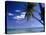 Catamaran Bora Bora-Ron Whitby Photography-Stretched Canvas