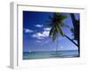 Catamaran Bora Bora-Ron Whitby Photography-Framed Photographic Print