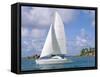 Catamaran, Island of Praslin, Seychelles, Indian Ocean, Africa-Bruno Barbier-Framed Stretched Canvas