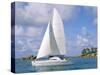 Catamaran, Island of Praslin, Seychelles, Indian Ocean, Africa-Bruno Barbier-Stretched Canvas
