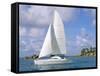 Catamaran, Island of Praslin, Seychelles, Indian Ocean, Africa-Bruno Barbier-Framed Stretched Canvas