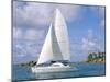 Catamaran, Island of Praslin, Seychelles, Indian Ocean, Africa-Bruno Barbier-Mounted Photographic Print