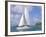 Catamaran, Island of Praslin, Seychelles, Indian Ocean, Africa-Bruno Barbier-Framed Photographic Print