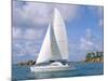 Catamaran, Island of Praslin, Seychelles, Indian Ocean, Africa-Bruno Barbier-Mounted Photographic Print