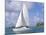 Catamaran, Island of Praslin, Seychelles, Indian Ocean, Africa-Bruno Barbier-Mounted Photographic Print