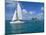 Catamaran, Island of Praslin, Seychelles, Indian Ocean, Africa-Bruno Barbier-Mounted Photographic Print