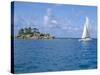 Catamaran, Island of Praslin, Seychelles, Indian Ocean, Africa-Bruno Barbier-Stretched Canvas