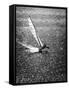Catamaran Sailing in Mission Bay-null-Framed Stretched Canvas