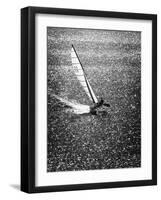 Catamaran Sailing in Mission Bay-null-Framed Photographic Print