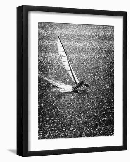 Catamaran Sailing in Mission Bay-null-Framed Photographic Print