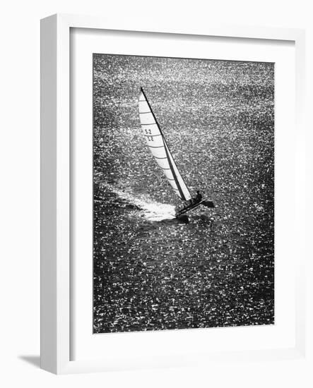 Catamaran Sailing in Mission Bay-null-Framed Photographic Print