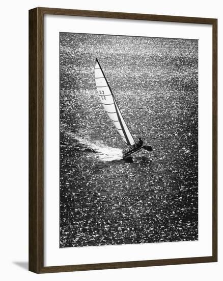 Catamaran Sailing in Mission Bay-null-Framed Photographic Print