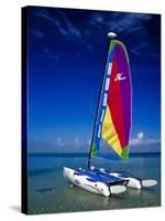 Catamarans, Florida Keys, Florida, USA-Terry Eggers-Stretched Canvas