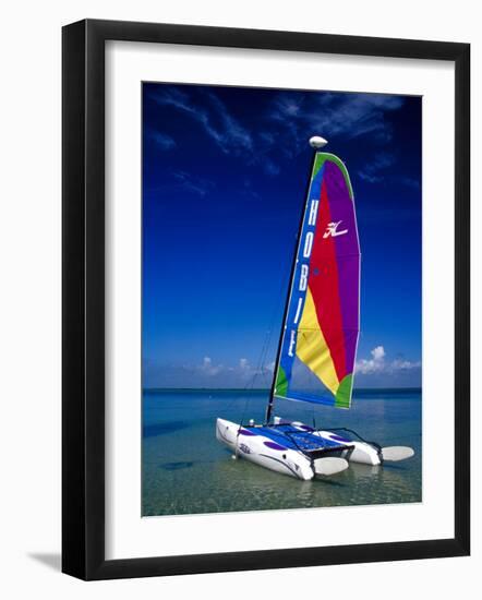 Catamarans, Florida Keys, Florida, USA-Terry Eggers-Framed Photographic Print