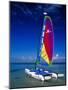 Catamarans, Florida Keys, Florida, USA-Terry Eggers-Mounted Photographic Print