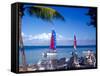 Catamarans, Florida Keys, Florida, USA-Terry Eggers-Framed Stretched Canvas