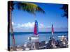 Catamarans, Florida Keys, Florida, USA-Terry Eggers-Stretched Canvas