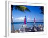 Catamarans, Florida Keys, Florida, USA-Terry Eggers-Framed Photographic Print