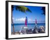 Catamarans, Florida Keys, Florida, USA-Terry Eggers-Framed Photographic Print