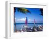 Catamarans, Florida Keys, Florida, USA-Terry Eggers-Framed Photographic Print