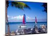 Catamarans, Florida Keys, Florida, USA-Terry Eggers-Mounted Photographic Print