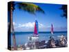 Catamarans, Florida Keys, Florida, USA-Terry Eggers-Stretched Canvas