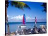 Catamarans, Florida Keys, Florida, USA-Terry Eggers-Stretched Canvas