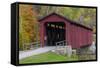 Cataract Covered Bridge over Mill Creek at Lieber, Indiana-Chuck Haney-Framed Stretched Canvas