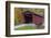 Cataract Covered Bridge over Mill Creek at Lieber, Indiana-Chuck Haney-Framed Photographic Print