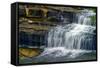 Cataract Falls State Park , Indiana, USA-Anna Miller-Framed Stretched Canvas