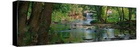 Cataract Falls State Park, Indiana, USA-Anna Miller-Stretched Canvas