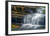 Cataract Falls State Park , Indiana, USA-Anna Miller-Framed Photographic Print