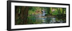 Cataract Falls State Park, Indiana, USA-Anna Miller-Framed Photographic Print