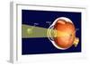 Cataract-Spencer Sutton-Framed Giclee Print