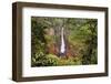 Catarata Del Toro Waterfall, in the mountains of Bajos del Toro Amarillo, Sarchi, Costa Rica-Adam Jones-Framed Photographic Print